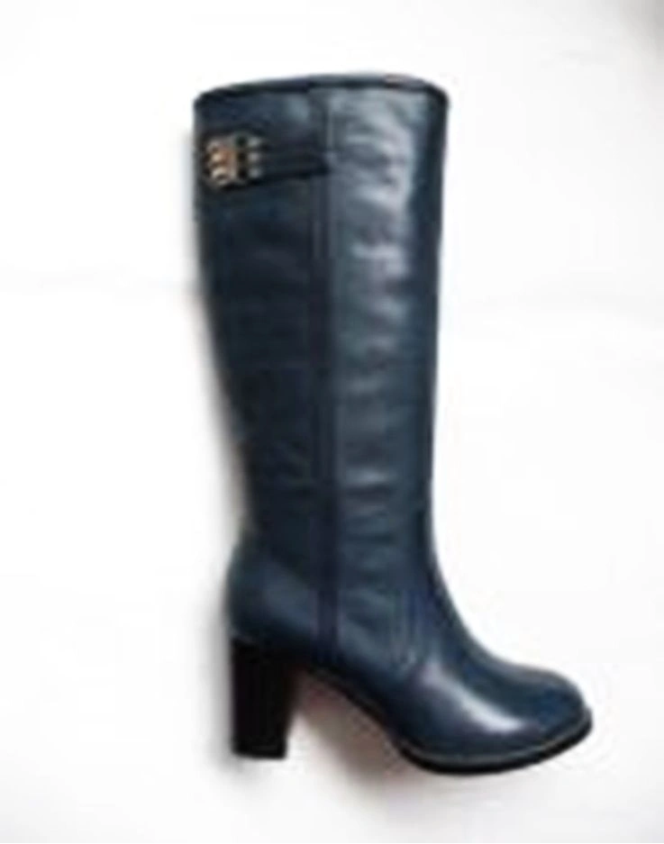 Сапоги MASTERS SHOES M05-51 синий - купить 4990