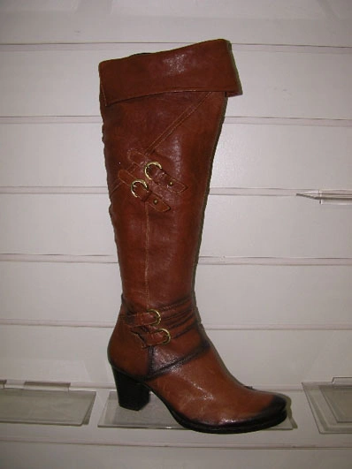 Ботфорты MILANA 253R-1412-120 коричневый - купить 1