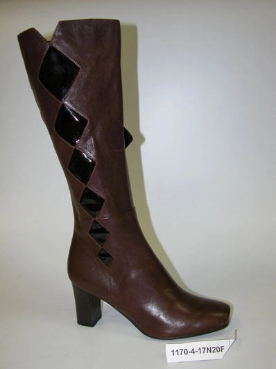 Сапоги MILANA 1170-4-17N20V коричневый - купить 1